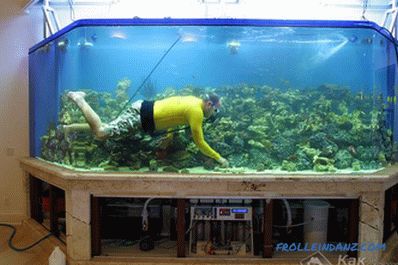 Wie man ein Aquarium mit eigenen Händen macht