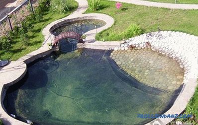 Teich auf der Sommerhütte - Bau eines künstlichen Stausees (+ Fotos)