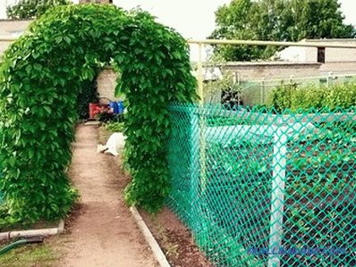 Wie wählt man ein Gartennetz für den Zaun?