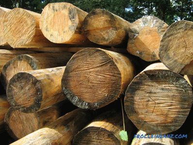 Wie behandelt man Holz aus Schimmel und Mehltau?