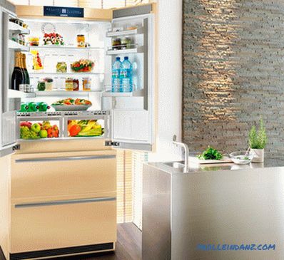 Arten von Kühlschränken für zu Hause - eine detaillierte Überprüfung
