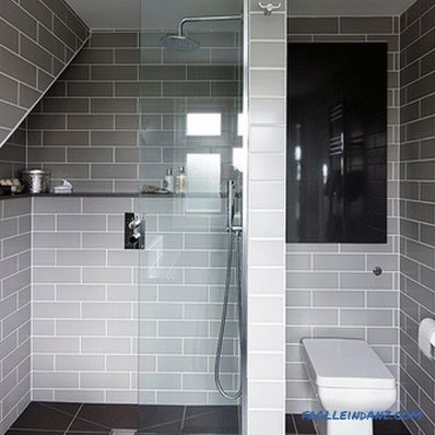 Entwurf eines kleinen Badezimmers - Empfehlungen und Ideen mit Fotos