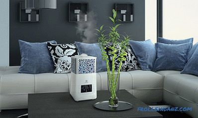Wie wählt man einen Luftbefeuchter für eine Wohnung oder ein Haus + Video